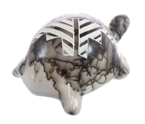 Navajo Hand Crafted Horse Hair Turtle Pottery By Artist William Vail JX125385